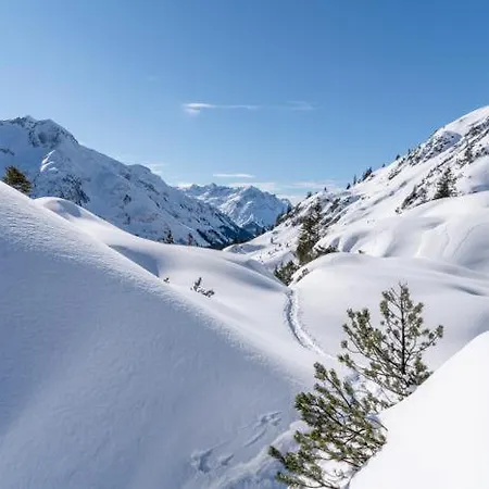 Haus Schrofenwies Apartment