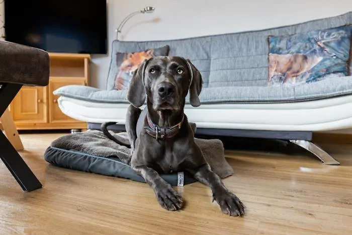 Haus Schrofenwies 아파트 *